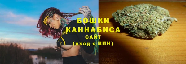 гидропоника Саяногорск