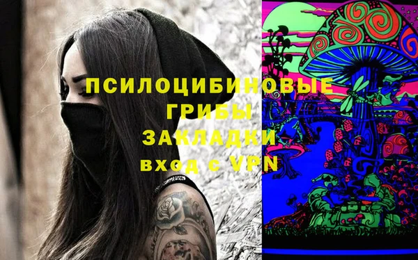 a pvp Богданович