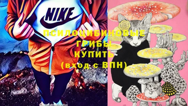 a pvp Богородск