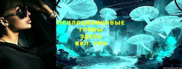мет Богородицк