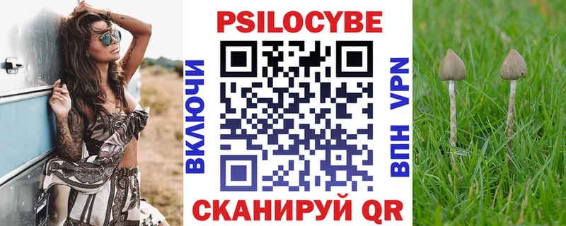 OMG tor  Павловск  Псилоцибиновые грибы Cubensis  закладки 